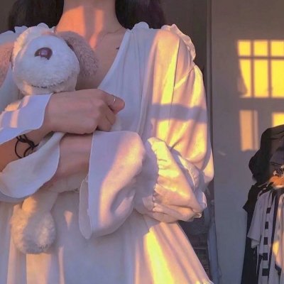 非洲的动物上班族